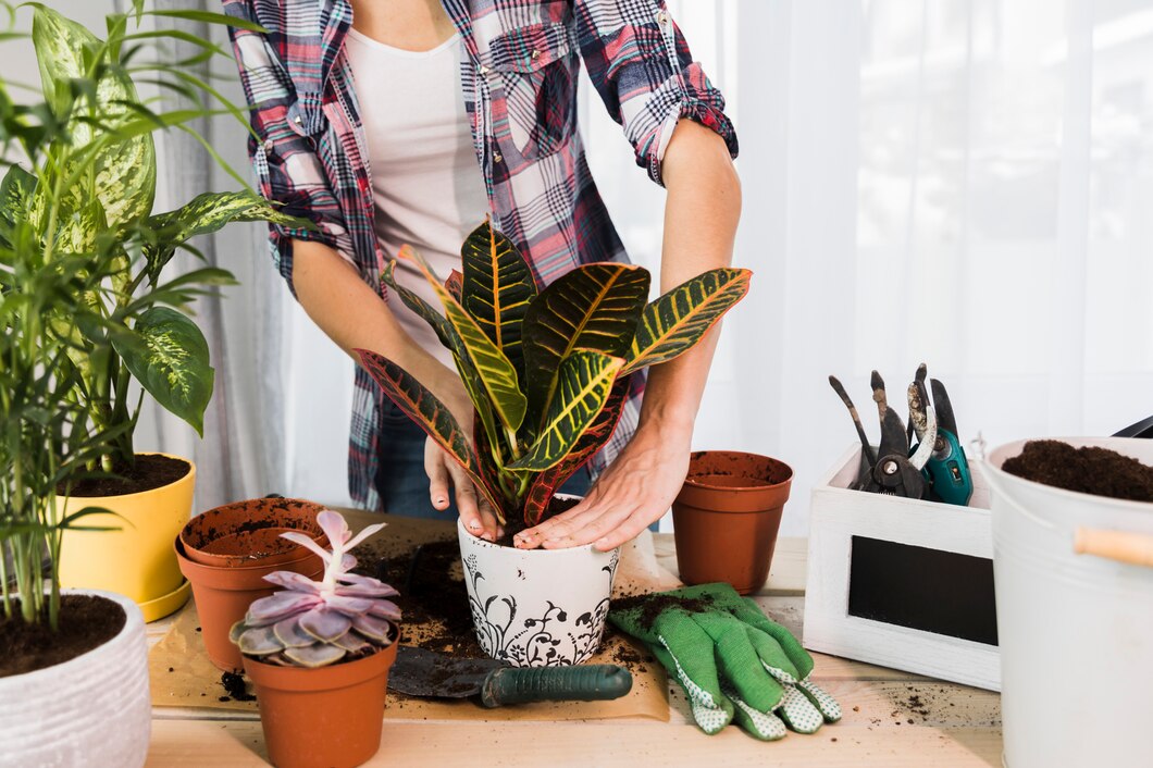 Jak prawidłowo pielęgnować rośliny doniczkowe w domu?